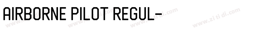 Airborne Pilot Regul字体转换